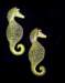 laceseahorses_small.jpg