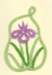 tapelaceirishflower_small.jpg